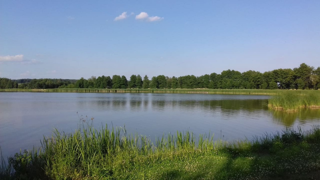 Czerwcowe wycieczki Radzyńskiej Grupy Rowerowej