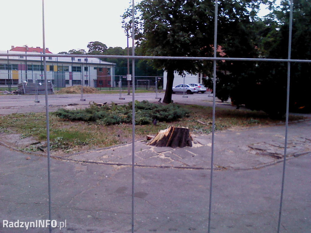 Wycięcie drzew na Rynku