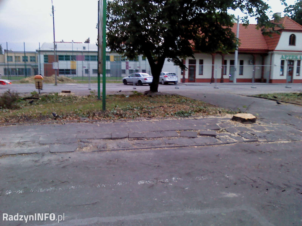 Wycięcie drzew na Rynku