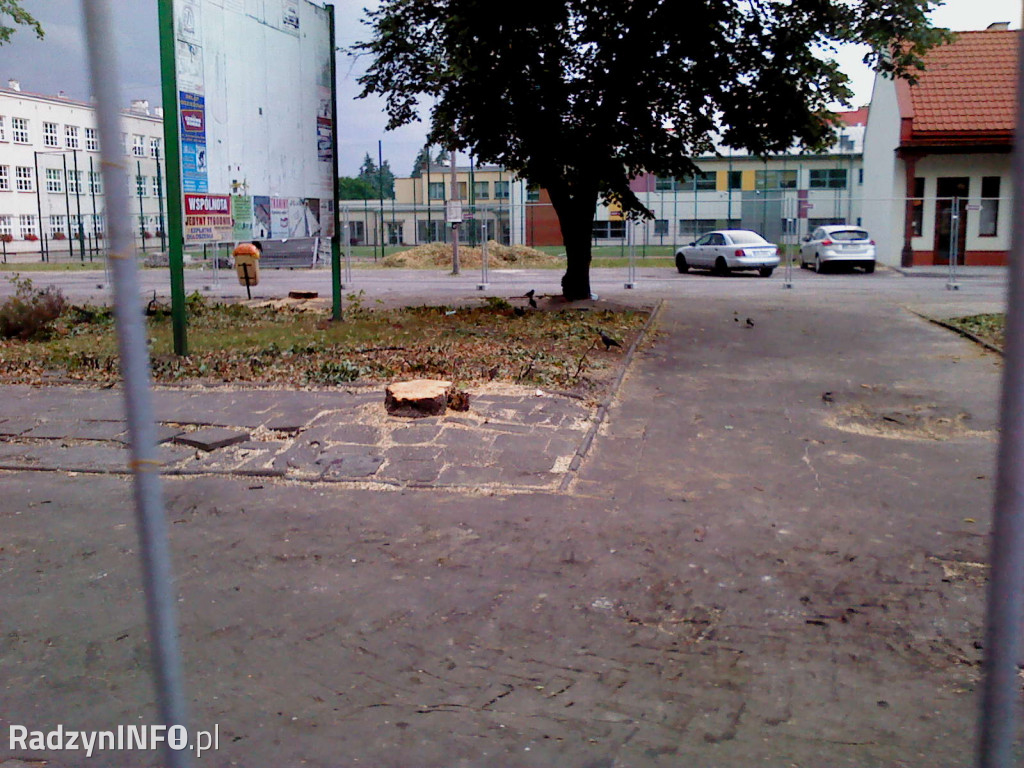 Wycięcie drzew na Rynku