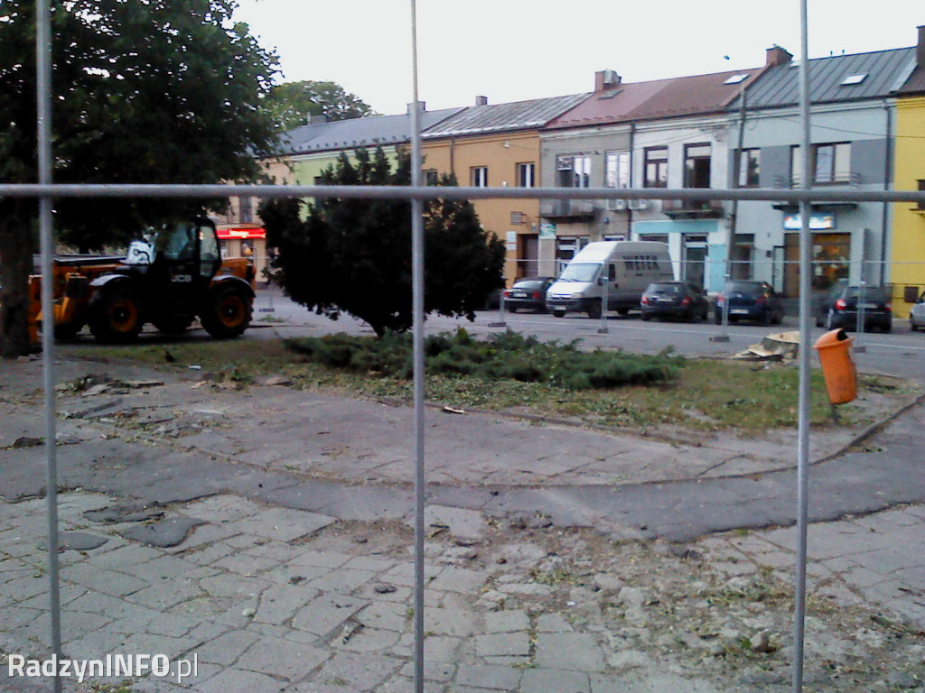 Wycięcie drzew na Rynku