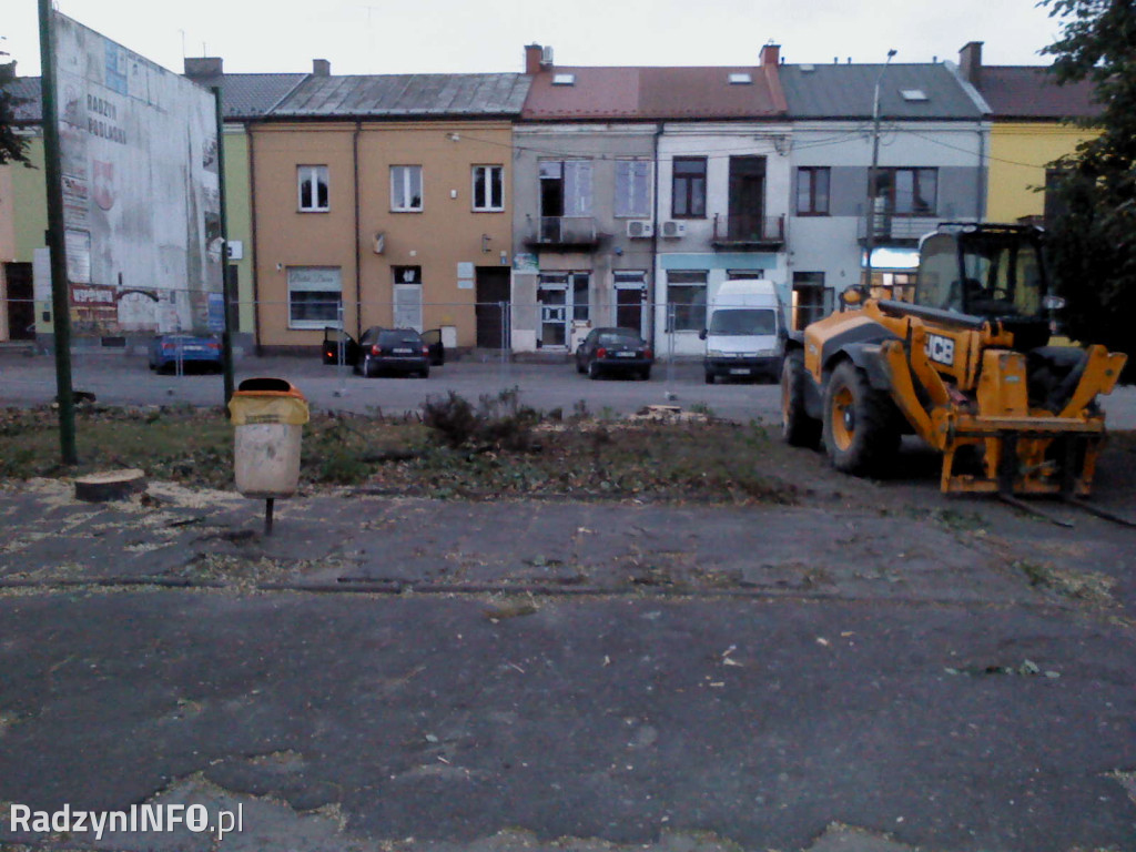 Wycięcie drzew na Rynku
