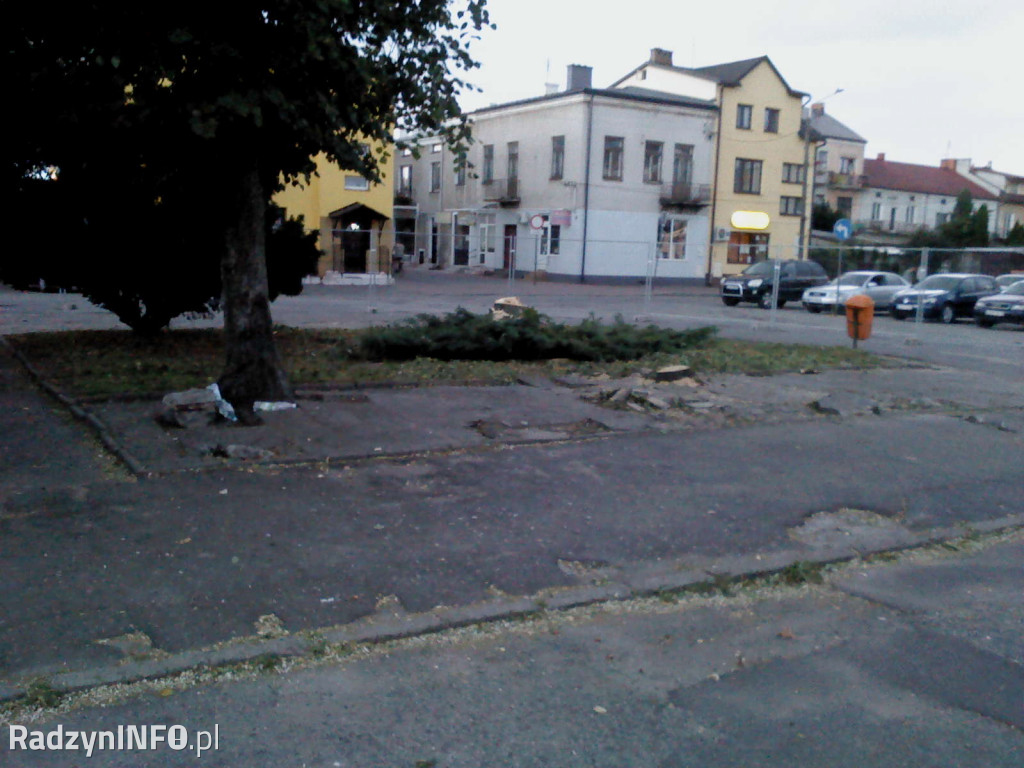 Wycięcie drzew na Rynku