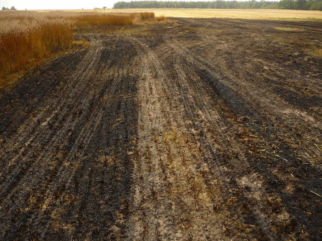 Pożar w Starej Wsi