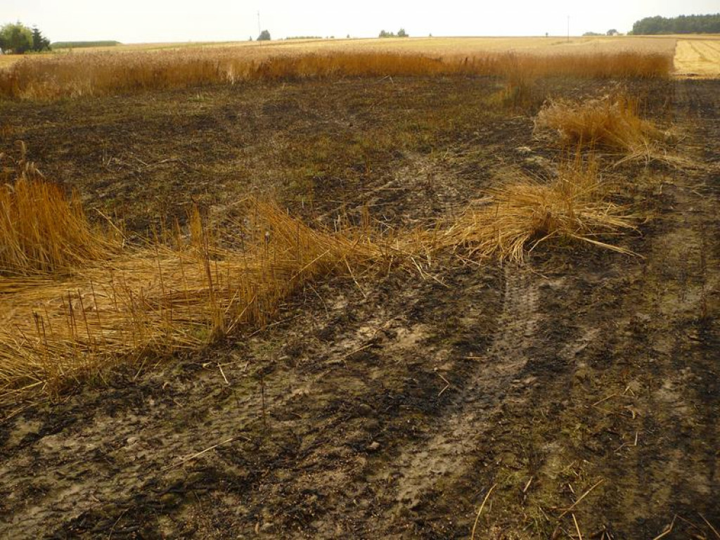 Pożar w Starej Wsi