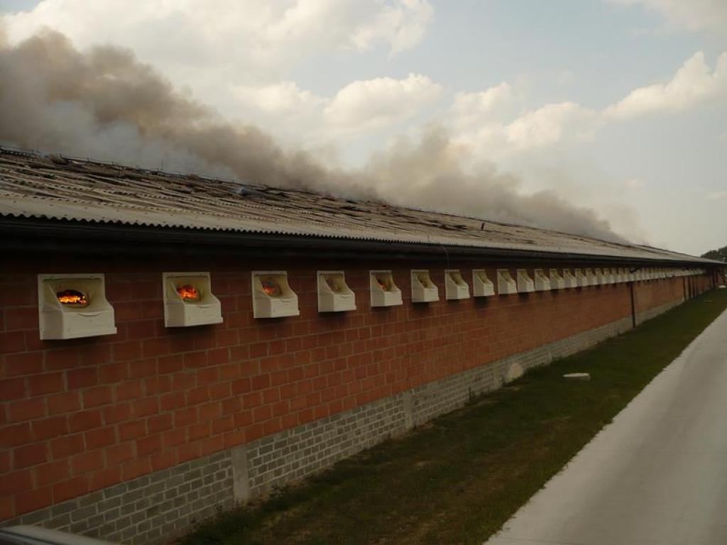 Akcja radzyńskich strażaków w powiecie łukowskim