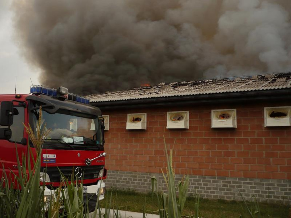 Akcja radzyńskich strażaków w powiecie łukowskim