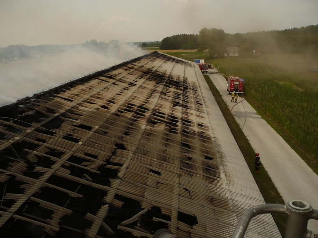 Akcja radzyńskich strażaków w powiecie łukowskim