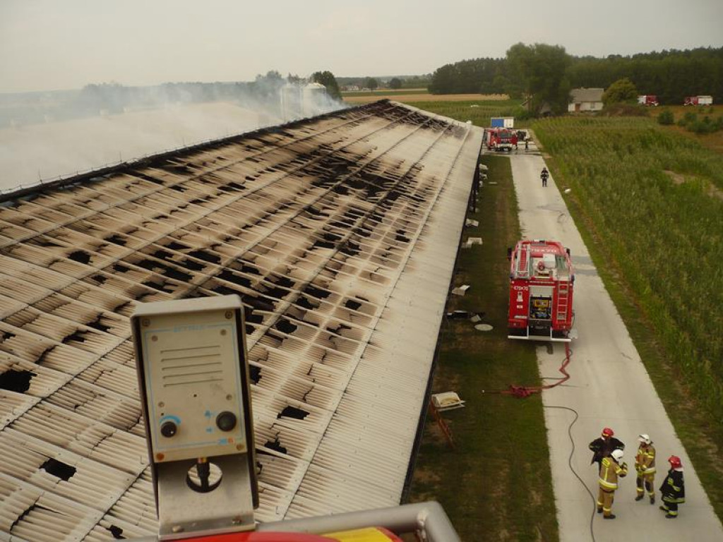 Akcja radzyńskich strażaków w powiecie łukowskim