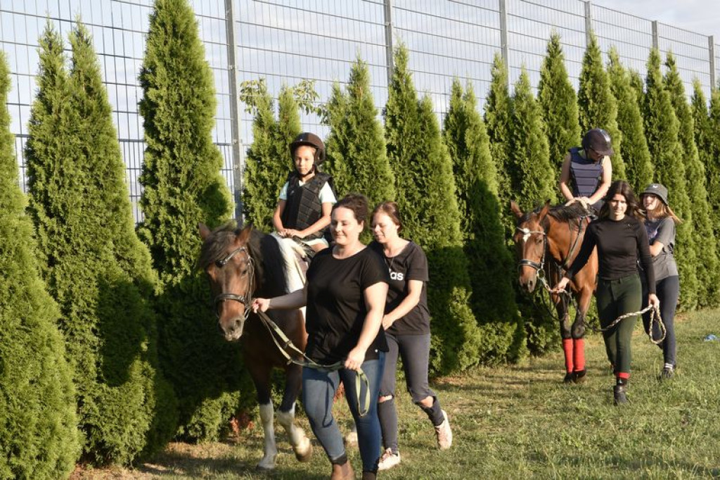 Gminne pikniki w Kąkolewnicy