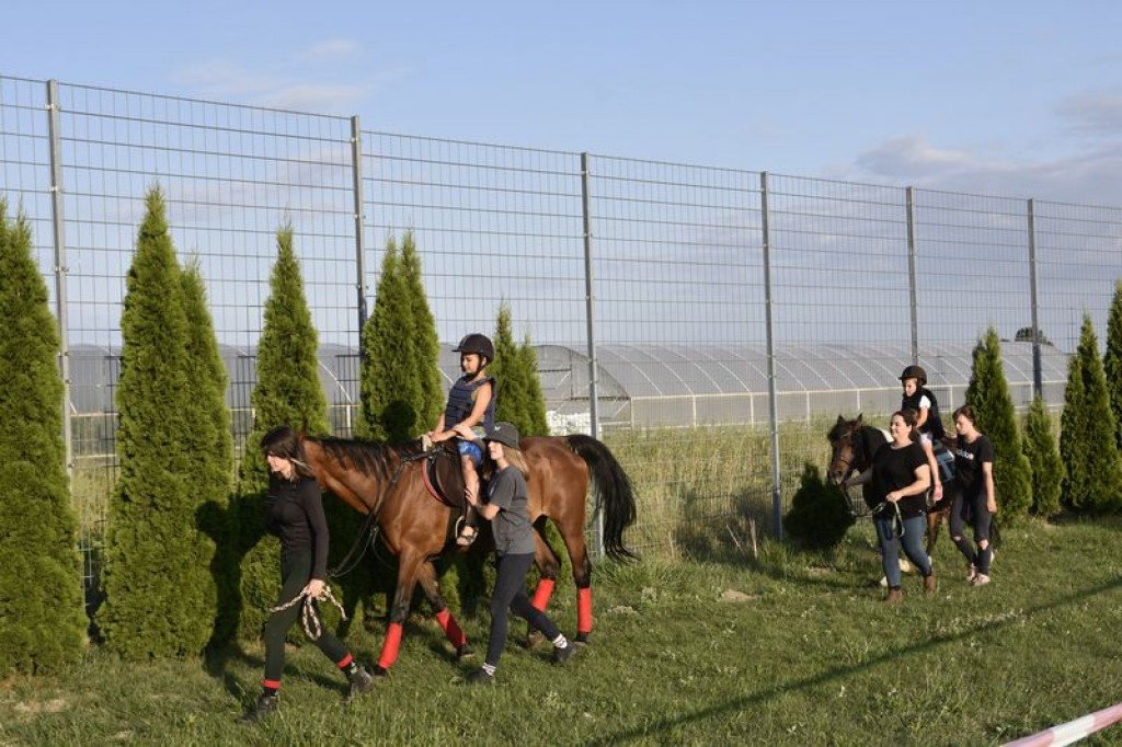 Gminne pikniki w Kąkolewnicy