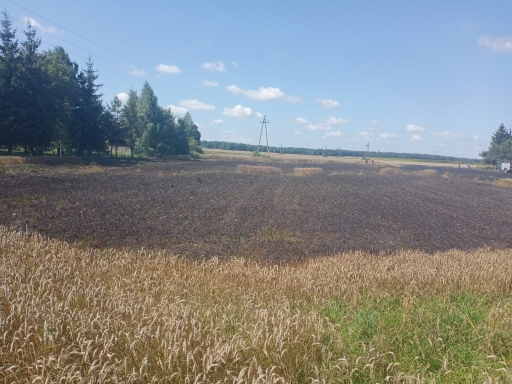 Trzy pożary pól w powiecie