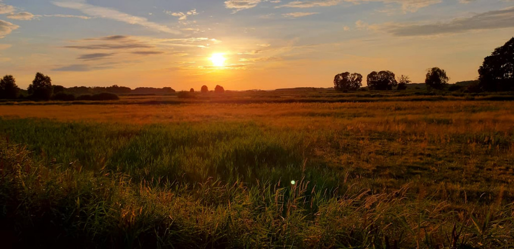 Sierpniowe wycieczki Radzyńskiej Grupy Rowerowej