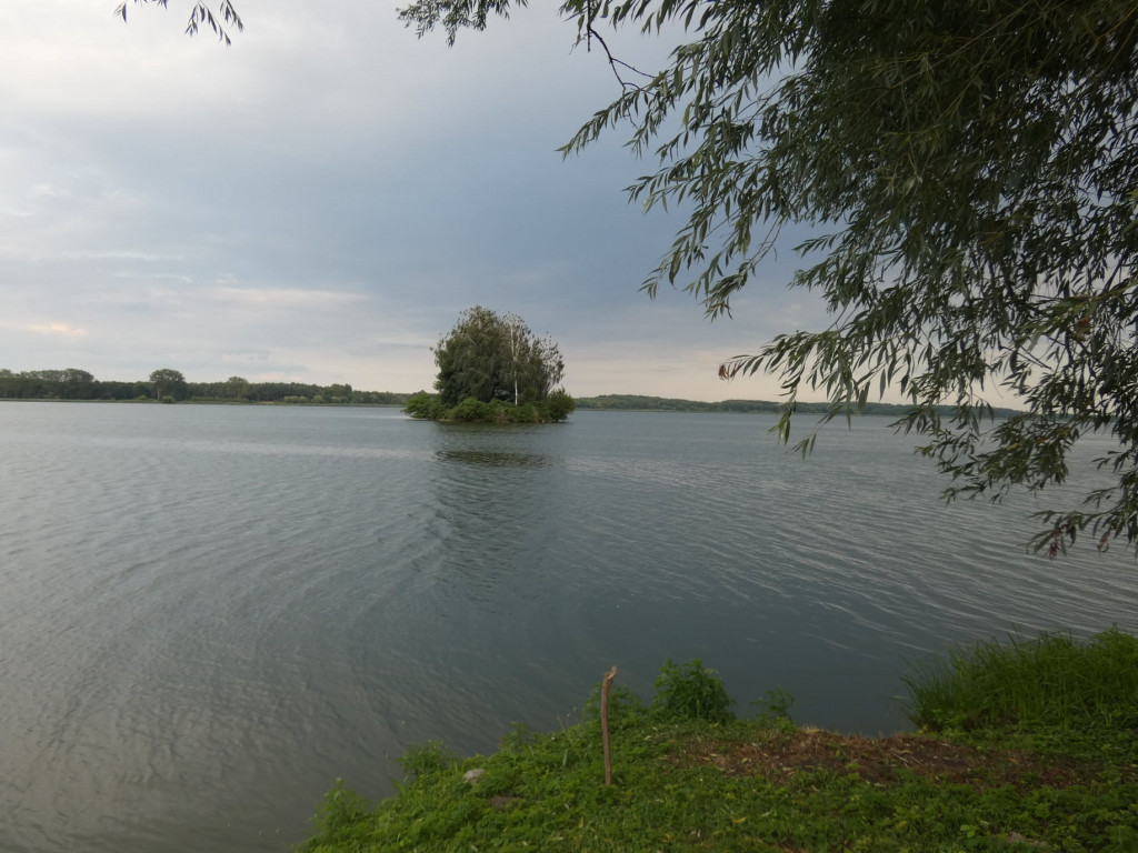 Sierpniowe wycieczki Radzyńskiej Grupy Rowerowej