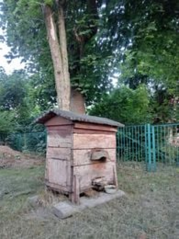Sierpniowe wycieczki Radzyńskiej Grupy Rowerowej