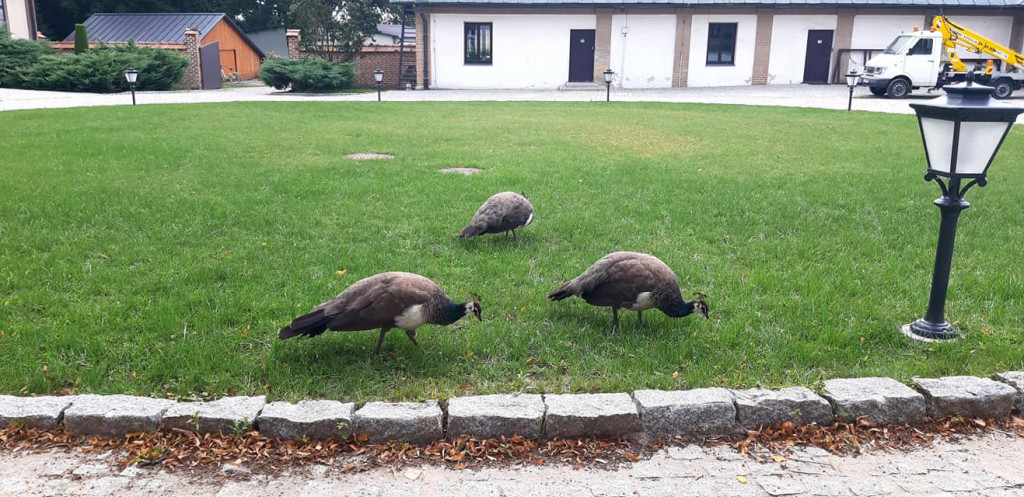 Sierpniowe wycieczki Radzyńskiej Grupy Rowerowej
