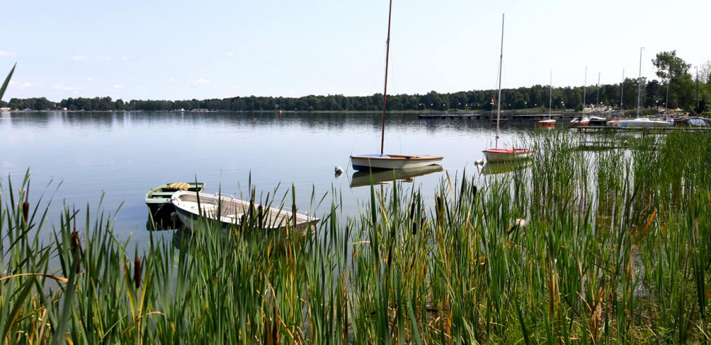 Sierpniowe wycieczki Radzyńskiej Grupy Rowerowej