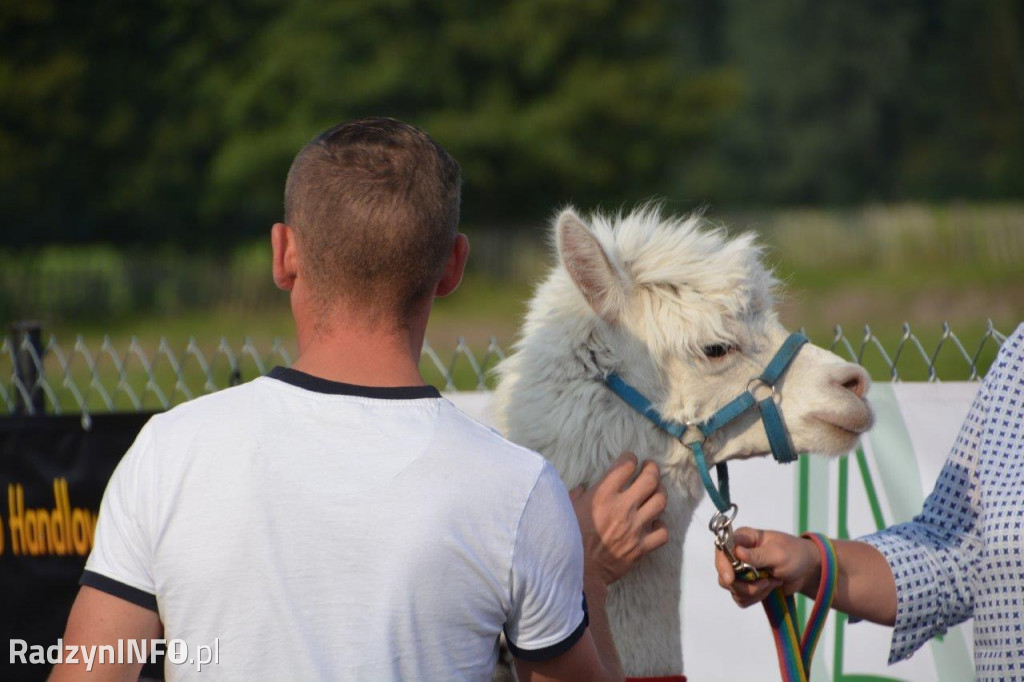 Dożynki w gminie Radzyń Podlaski