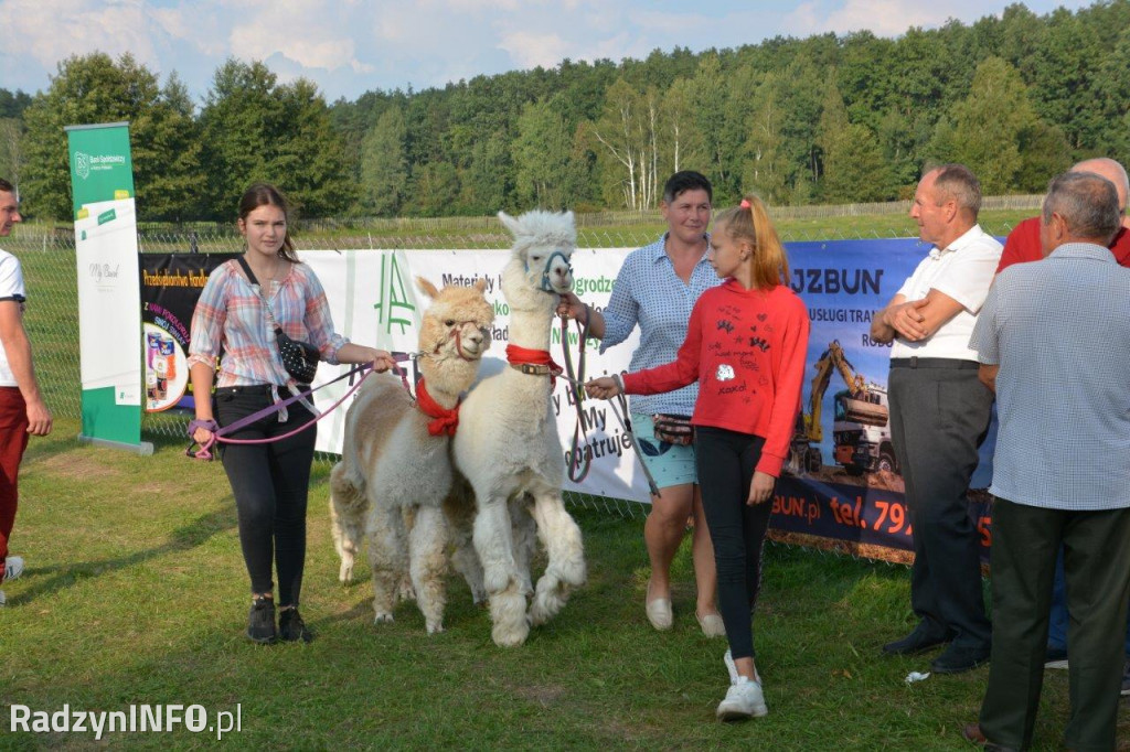 Dożynki w gminie Radzyń Podlaski