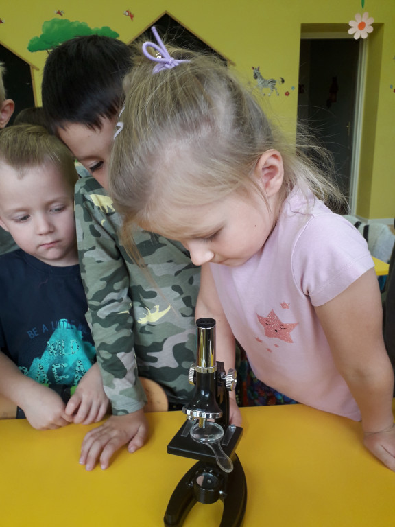 Program edukacyjny w przedszkolu w Sobolach
