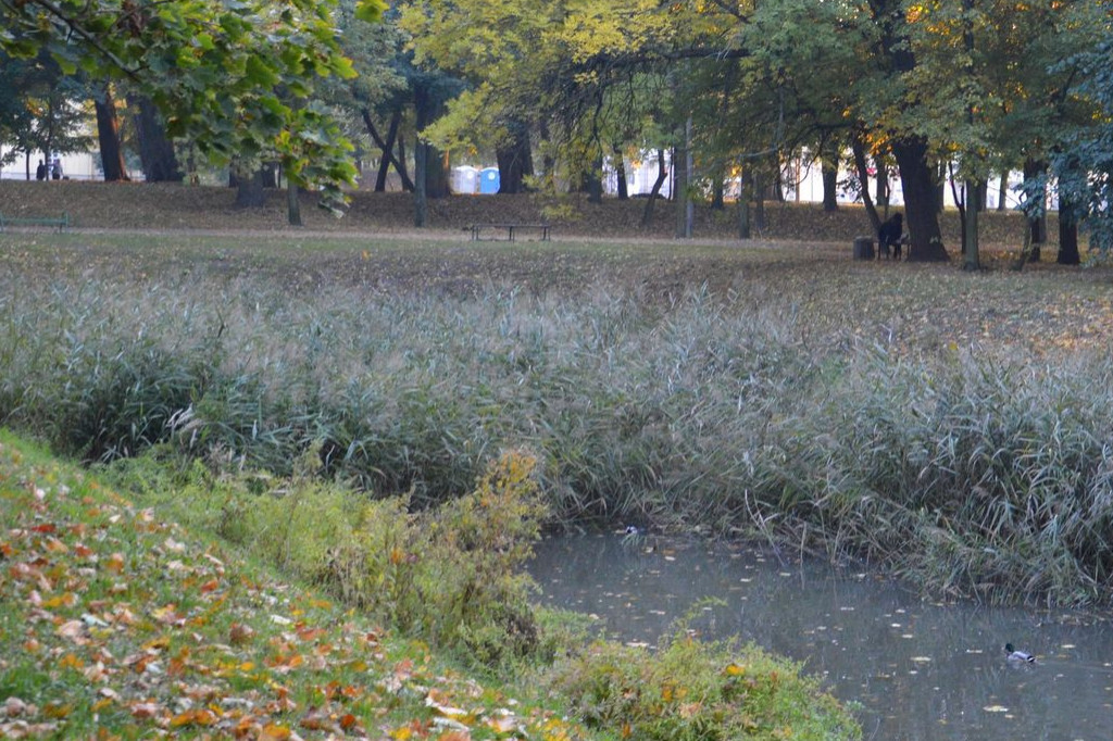 Radzyński park w październiku