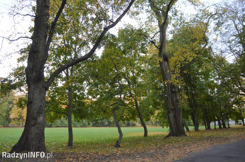 Radzyński park w październiku