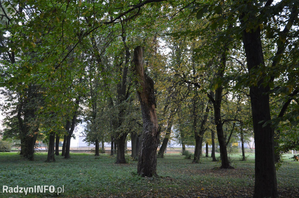 Radzyński park w październiku