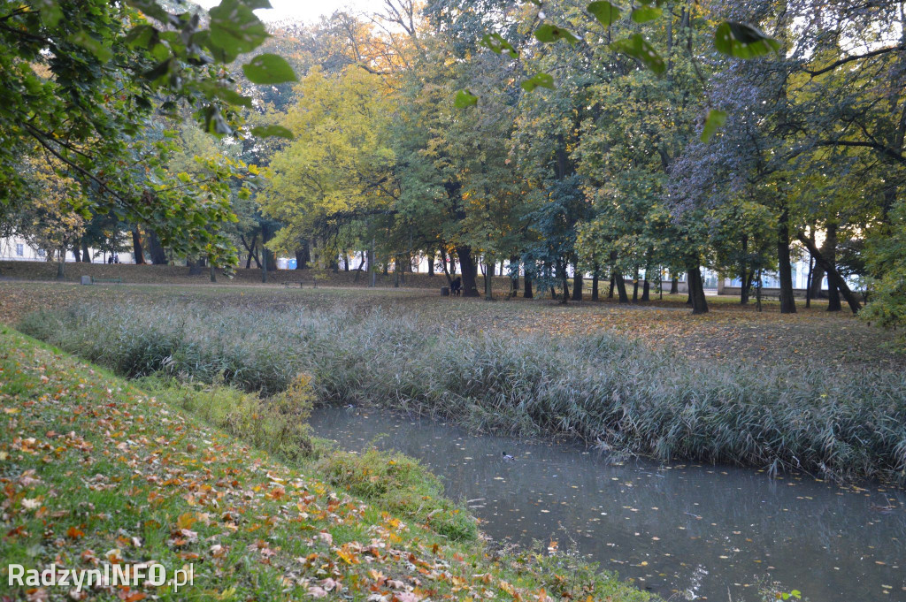 Radzyński park w październiku