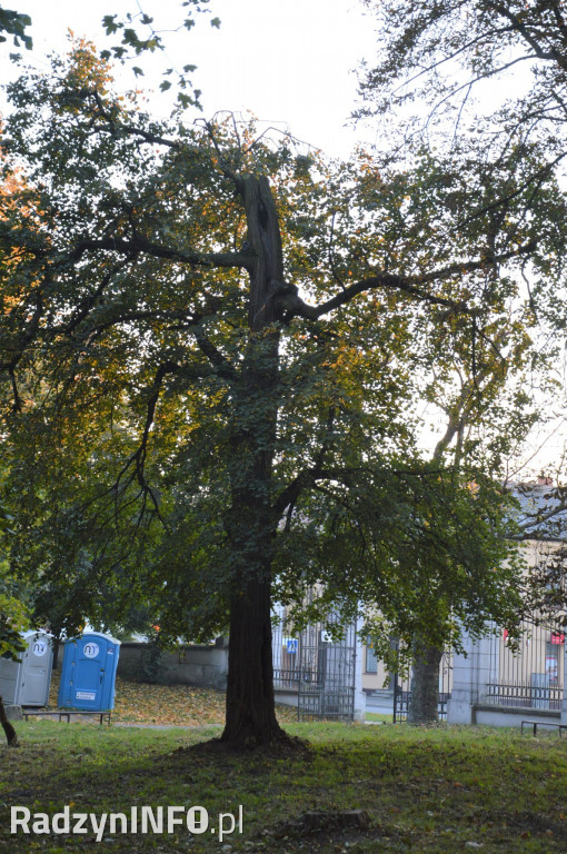 Radzyński park w październiku