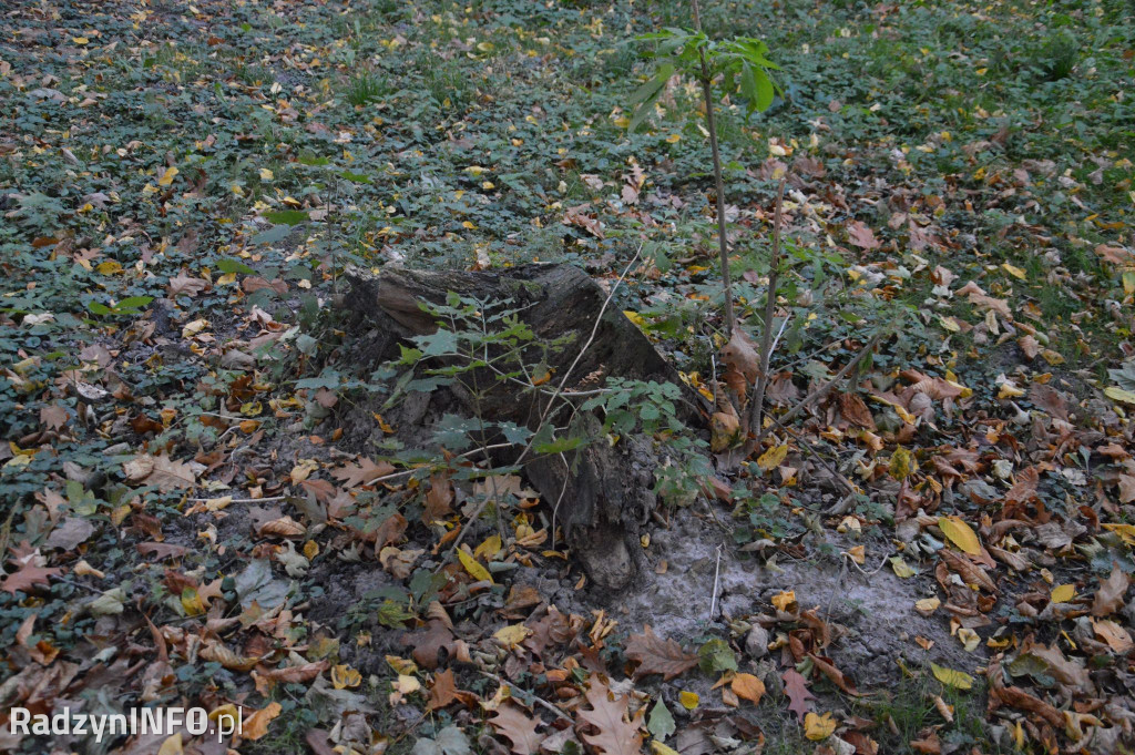 Radzyński park w październiku