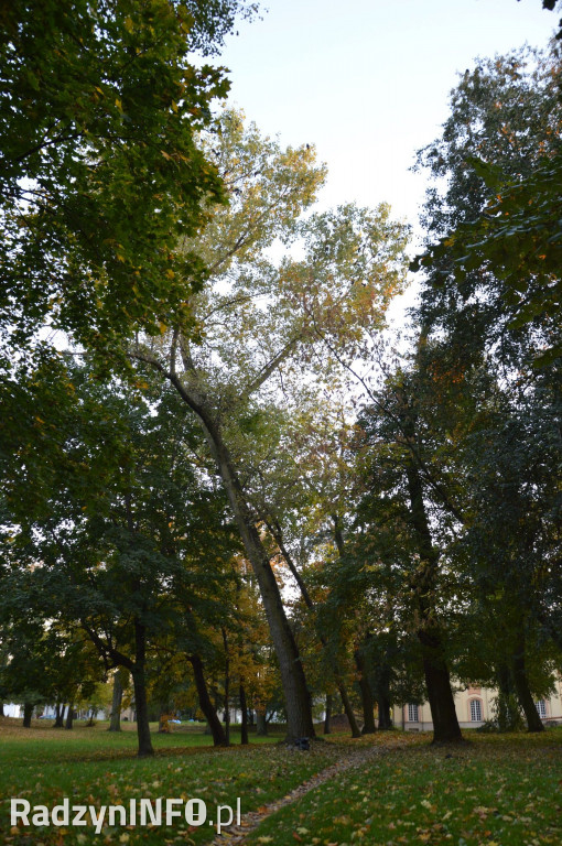 Radzyński park w październiku