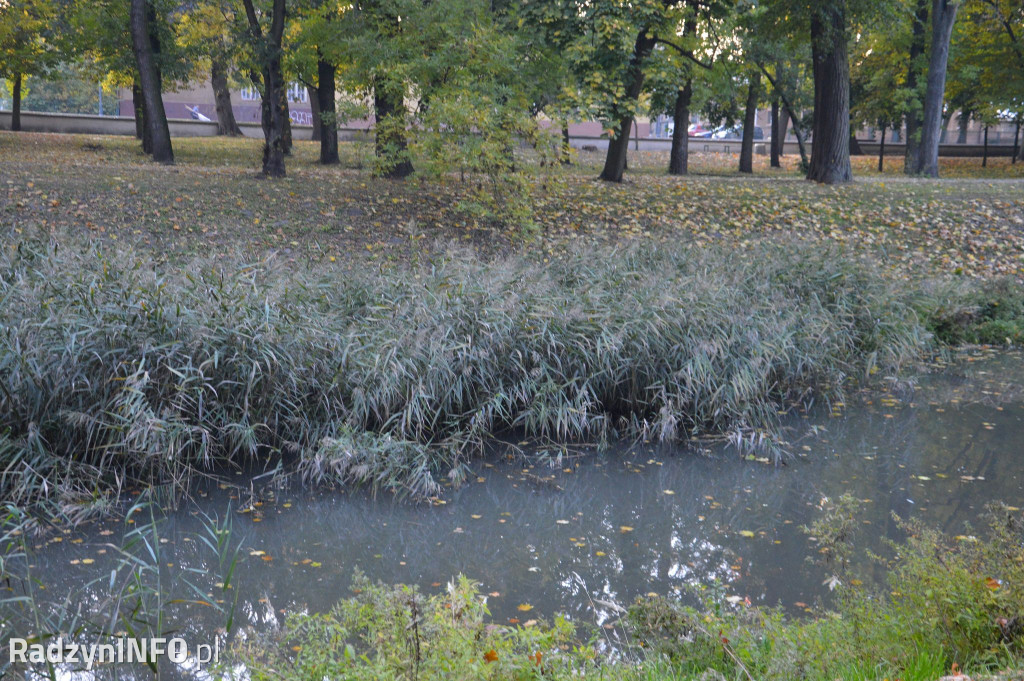 Radzyński park w październiku