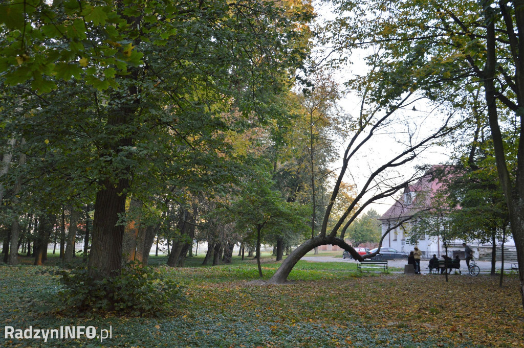 Radzyński park w październiku