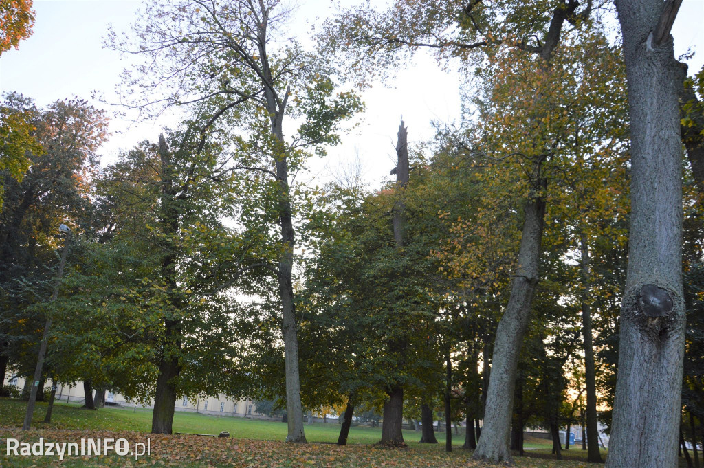 Radzyński park w październiku