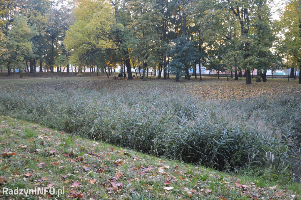 Radzyński park w październiku