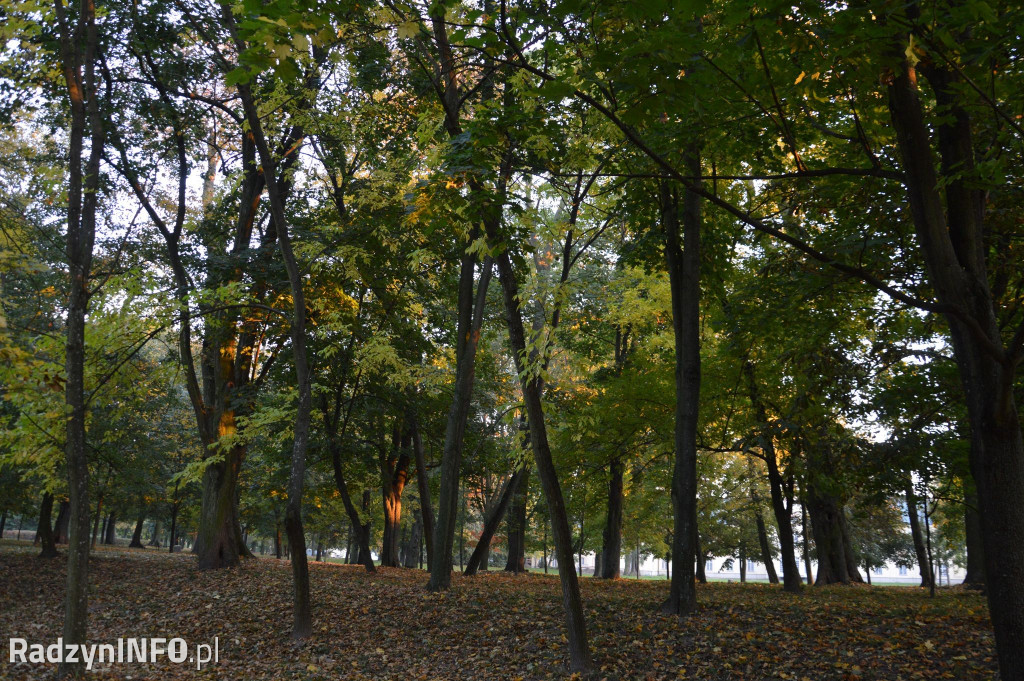 Radzyński park w październiku