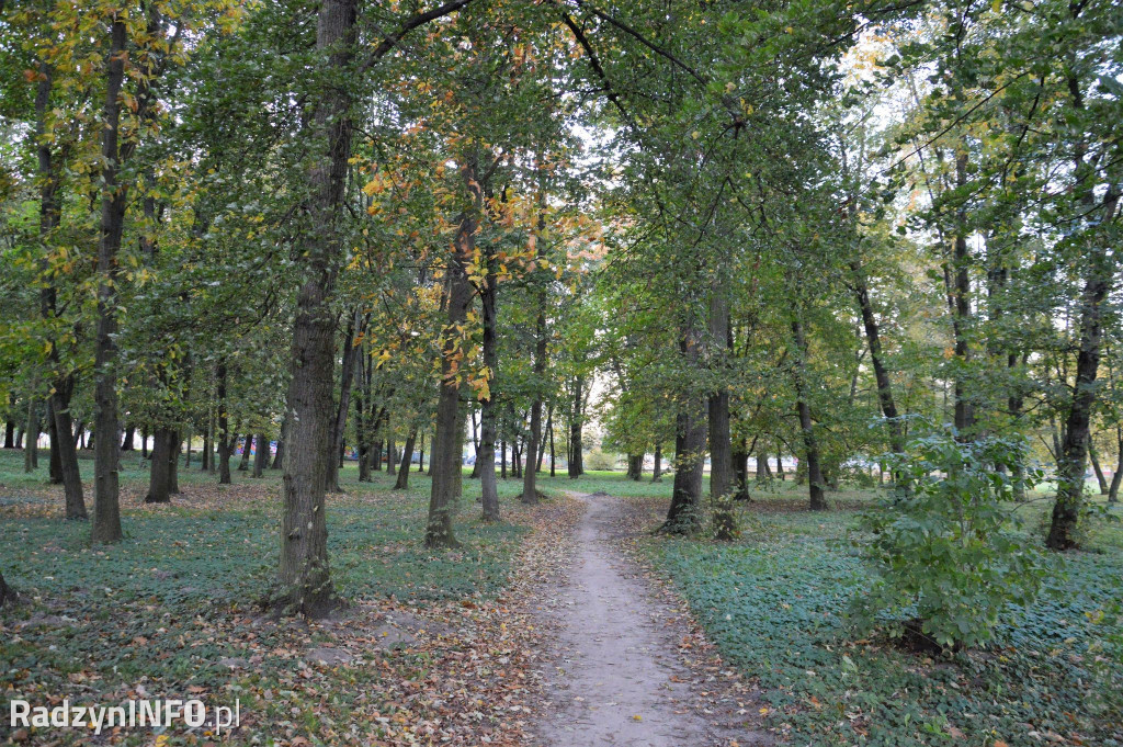 Radzyński park w październiku