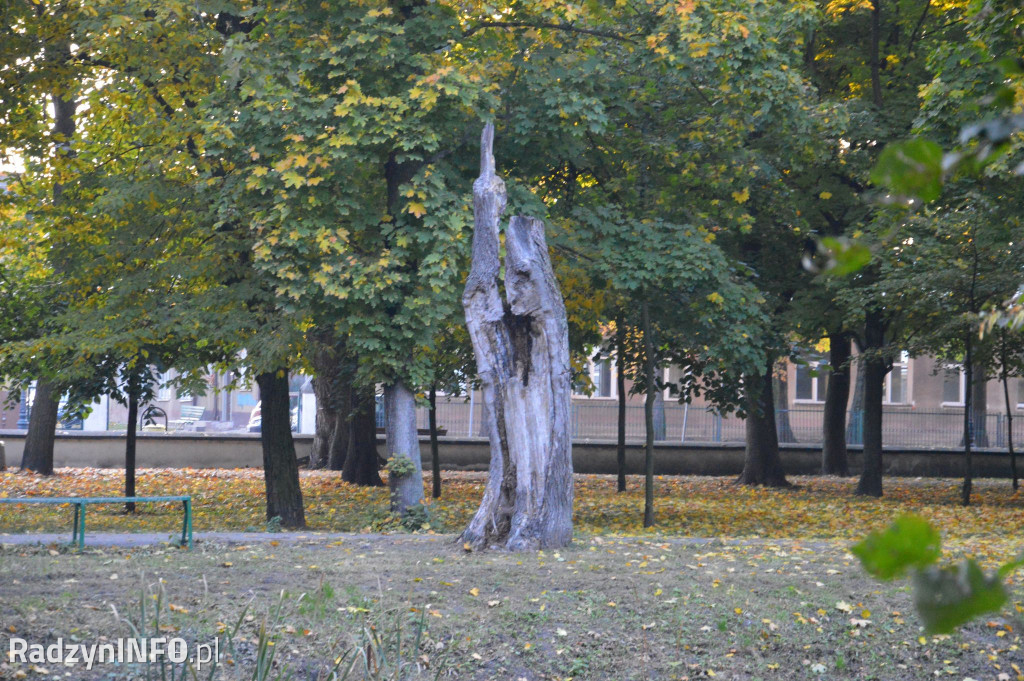 Radzyński park w październiku
