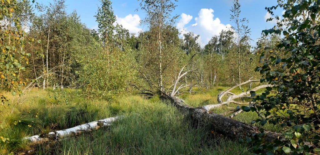 Wrześniowe wycieczki Radzyńskiej Grupy Rowerowej
