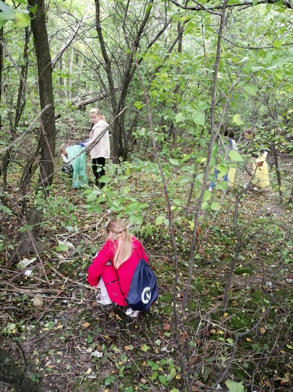 Sprzątanie lasu w gminie Komarówka Podlaska