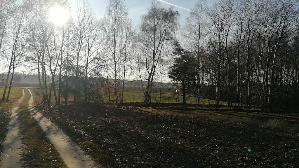 Pożar w Bełczącu