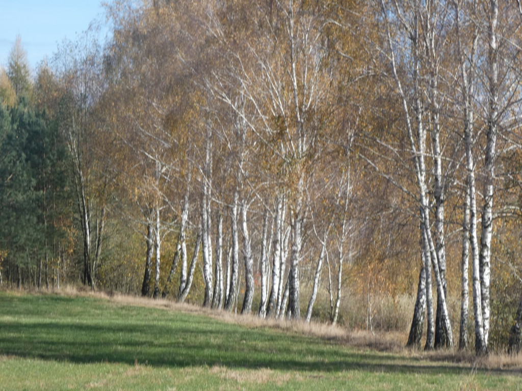 Październikowe wyjazdy Radzyńskiej Grupy Rowerowej