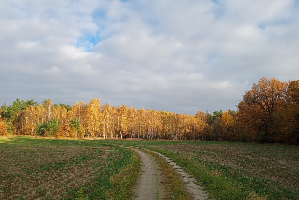 Październikowe wyjazdy Radzyńskiej Grupy Rowerowej