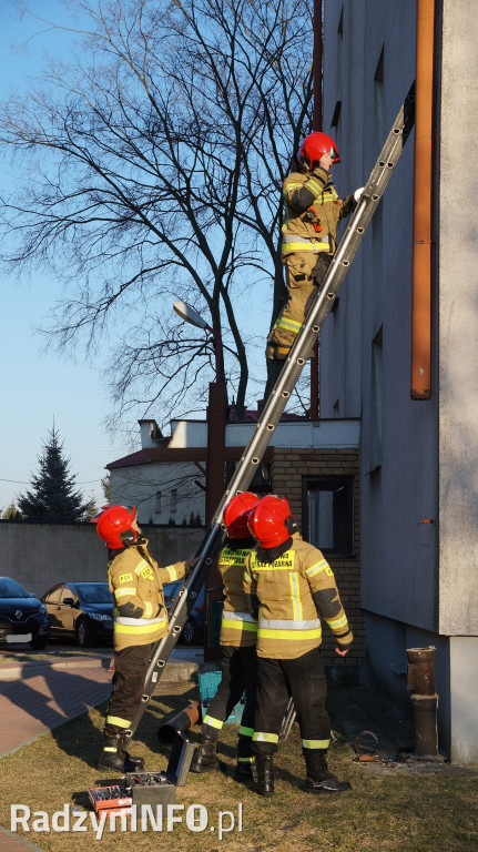 Nietypowa akcja strażaków w Radzyniu