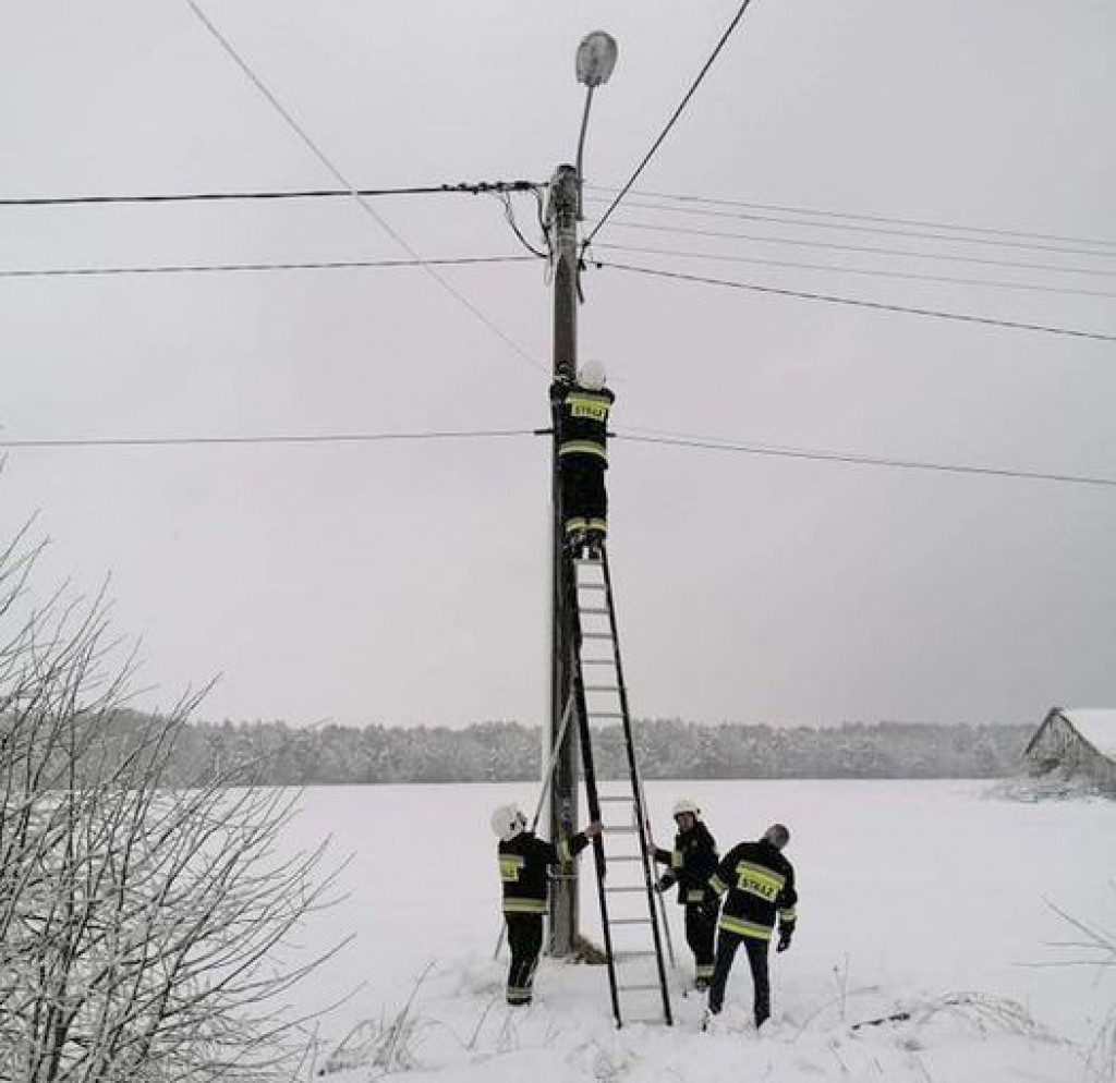 Interwencje strażaków z powodu łamania się drzew