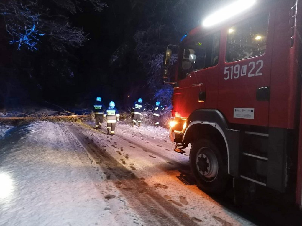 Interwencje strażaków z powodu łamania się drzew