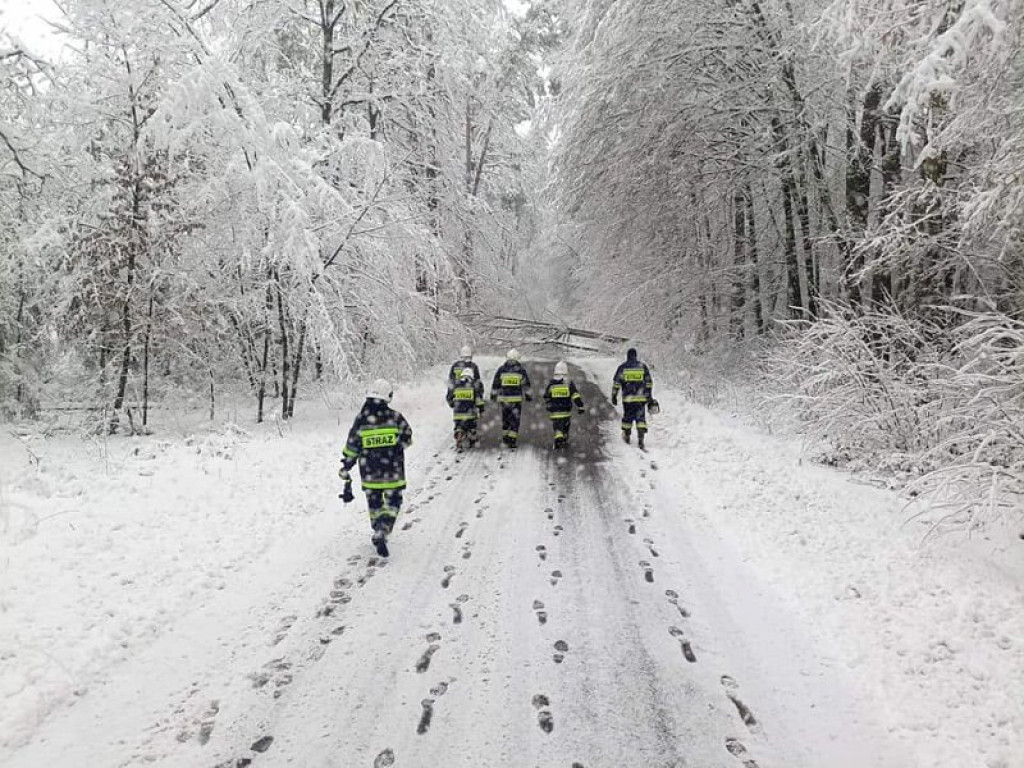 Interwencje strażaków z powodu łamania się drzew