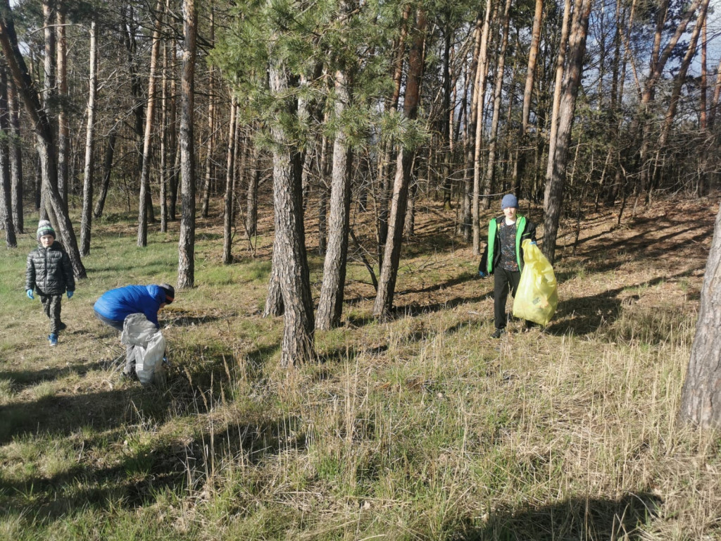 Akcja 