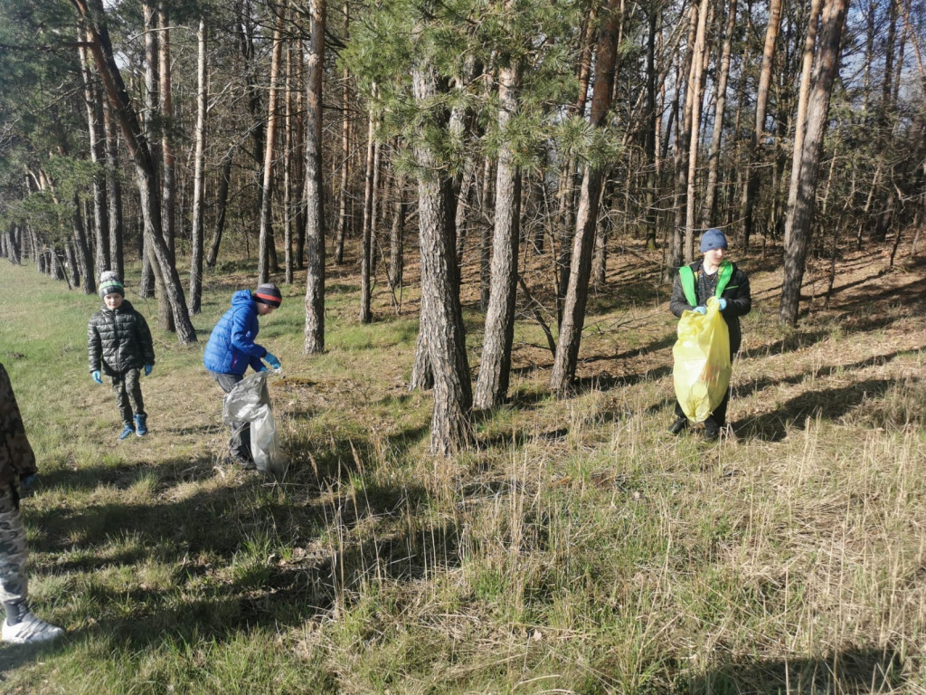 Akcja 