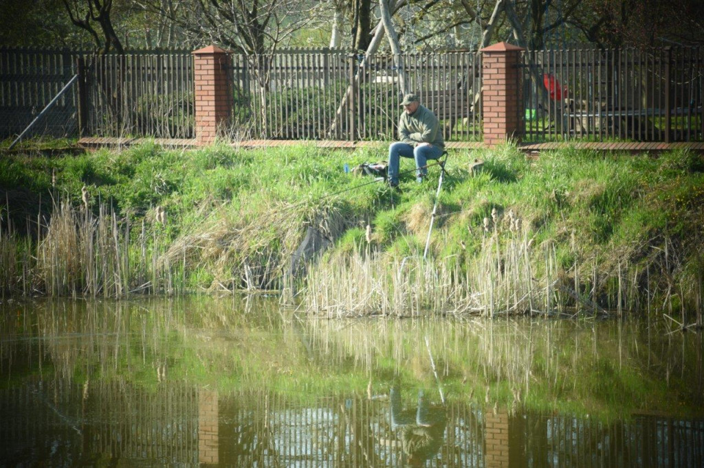 Zawody wędkarskie w Żabikowie